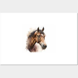 Horse Watercolour Painting Posters and Art